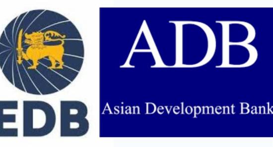 Sri Lanka Launches Export Plan Consultations